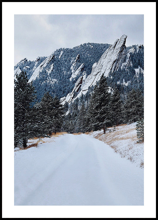 Frozen Flatiron Plakat - Posterbox