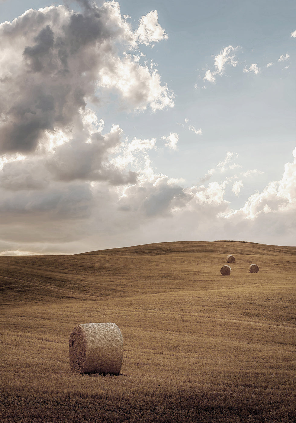 Field with Bales of Hay -juliste 