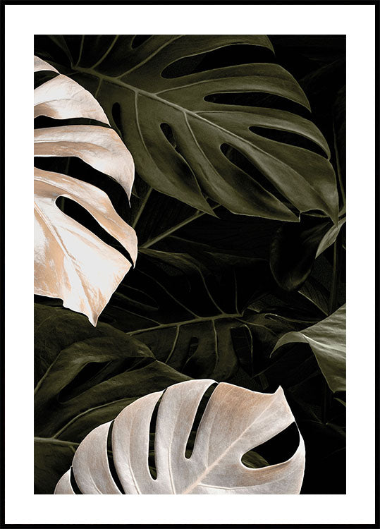 Golden Monstera Leaves -juliste