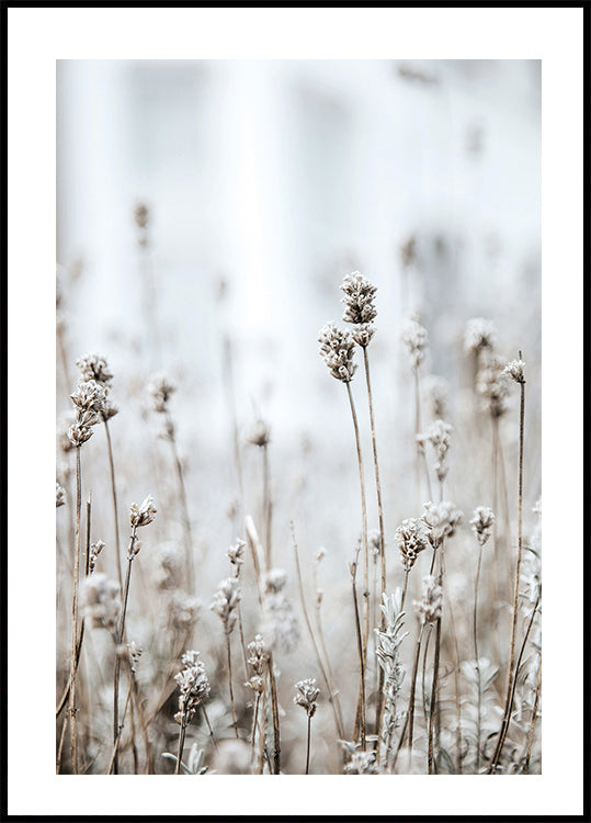 In The Wild Plakat - Posterbox.dk