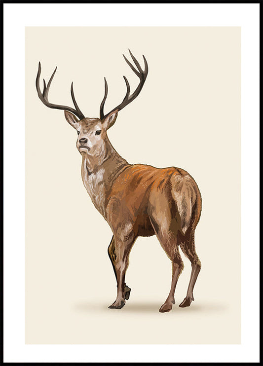 Tyylikäs Brown Deer -juliste