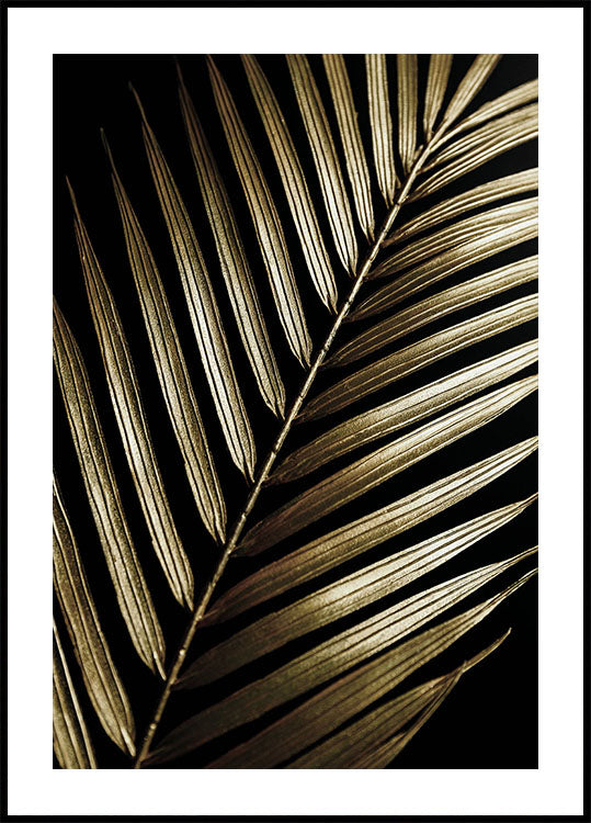 Golden Palm Leaf -juliste