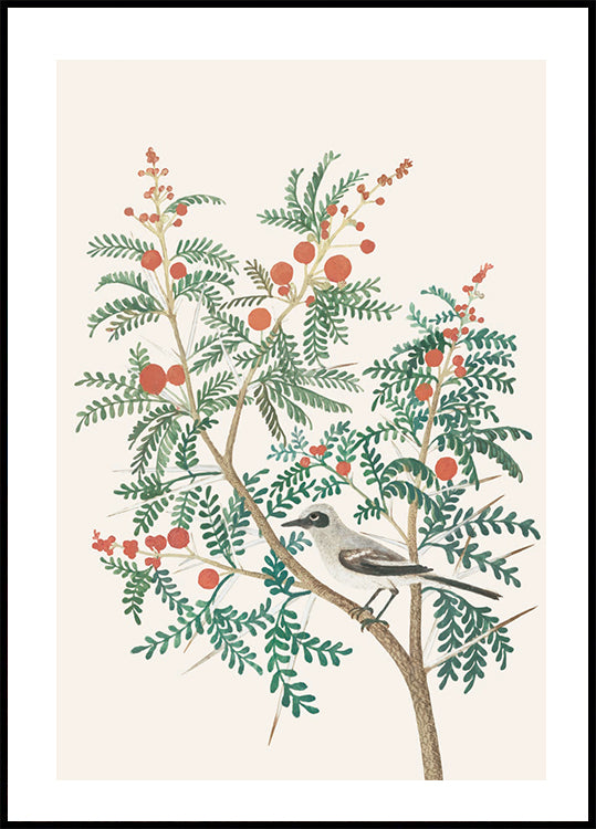 Bird on Berry-Laden Branch -juliste