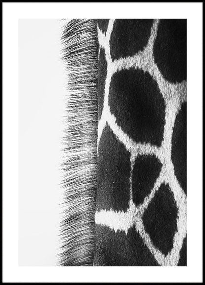 Giraffe Neck -juliste 