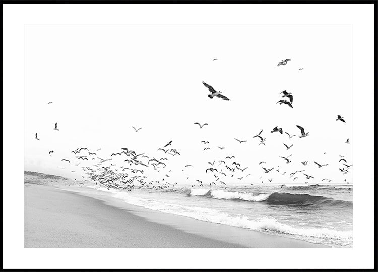 Seascape BW Plakat - Posterbox