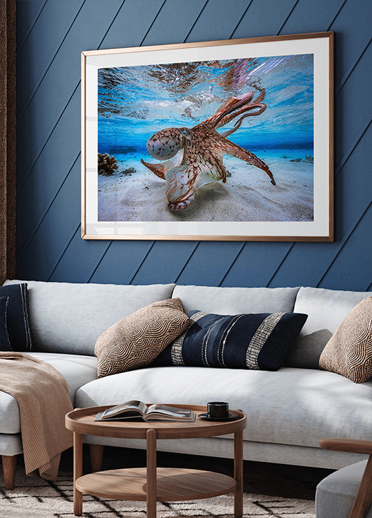 Tanssiva mustekala juliste