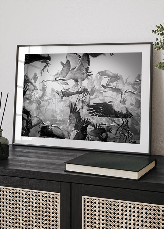 Chaos juliste