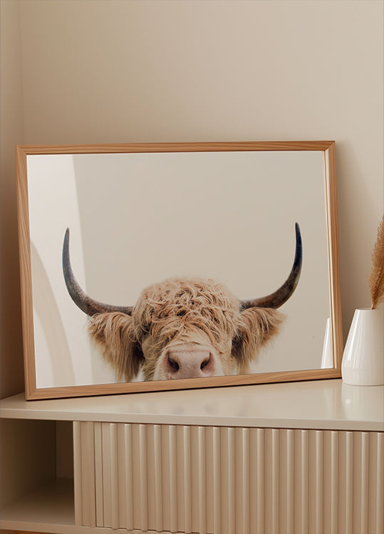 Kurkistava lehmä -juliste