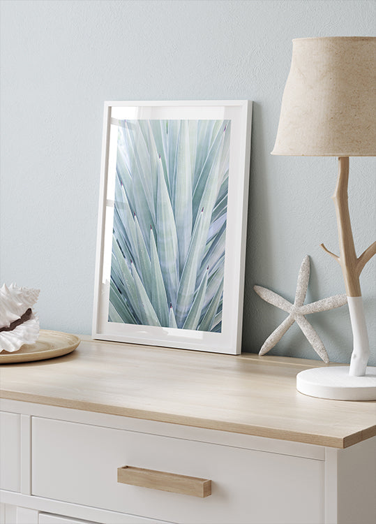 Azure Agave -tanssi