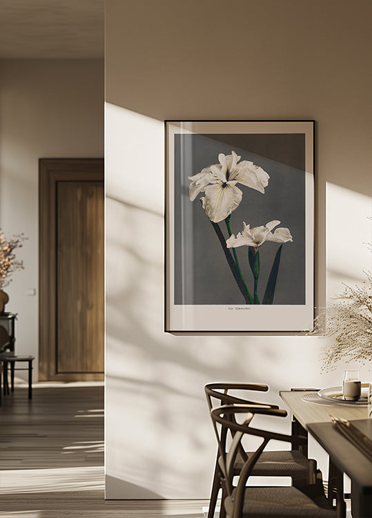 Iris Kæmpferi -juliste