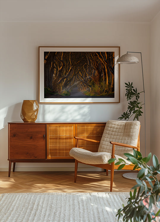 Tummat pensaat aamuauringossa