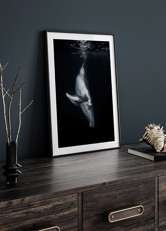 Black Whale -juliste