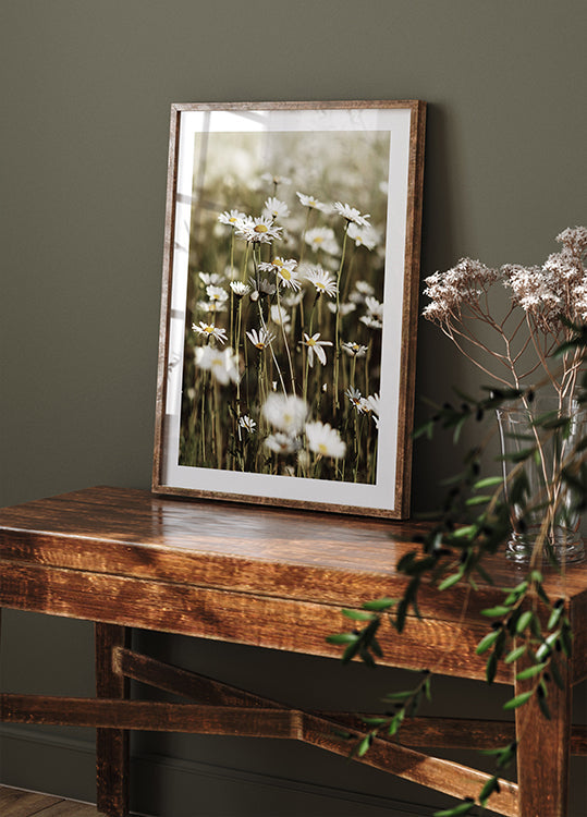 Field of Daisies -juliste