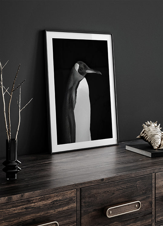 Mr. Pingviini -juliste