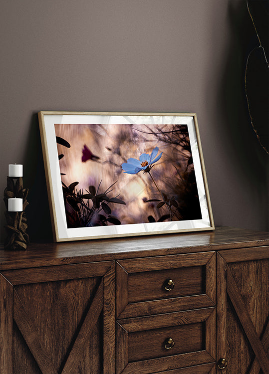 Välinpitämättömyys