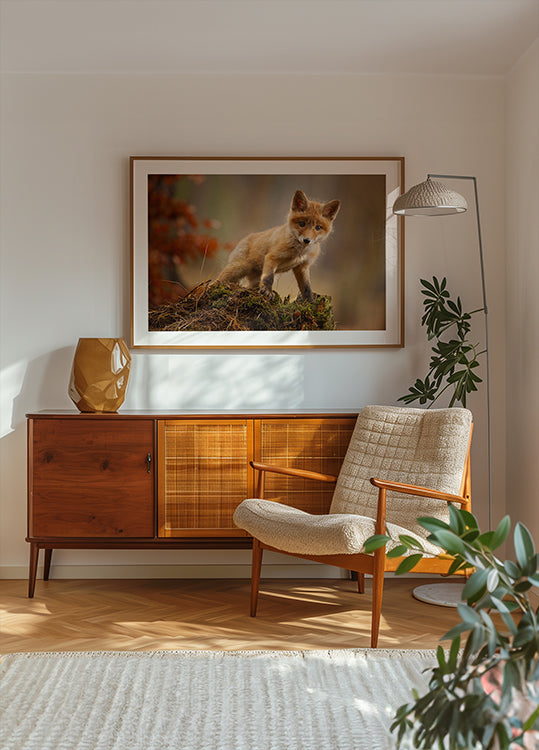 Fox-juliste