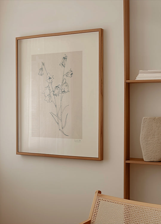 Bellflowers ink drawing Plakat