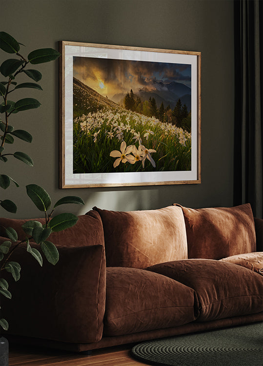 Valkoinen matto juliste