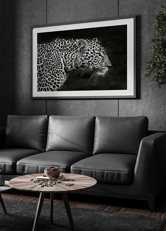 Leopard lähikuva juliste