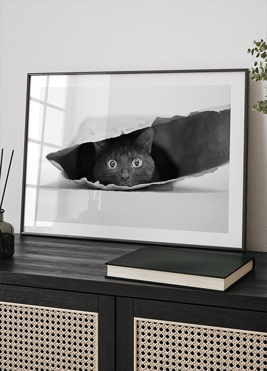 Kissa pussissa Juliste