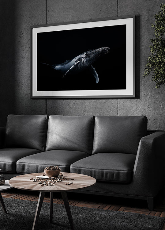 Black & Whale -juliste