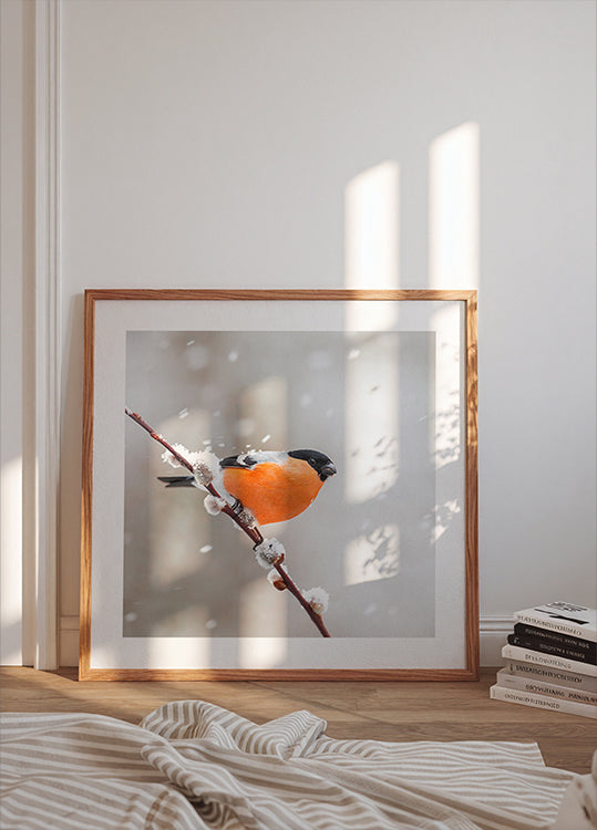 Härkä lumimyrskyssä Julisteet