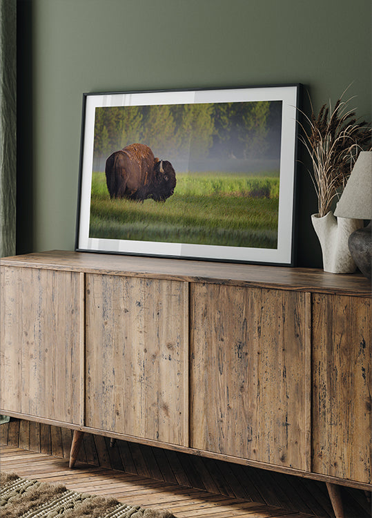Bison in Morning Light -juliste