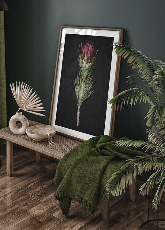 Protea Serenity -juliste