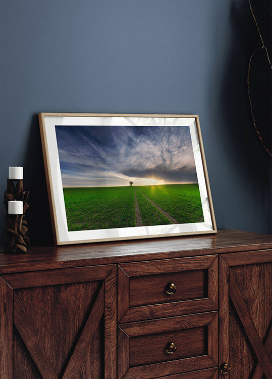 yksinäinen auringossa