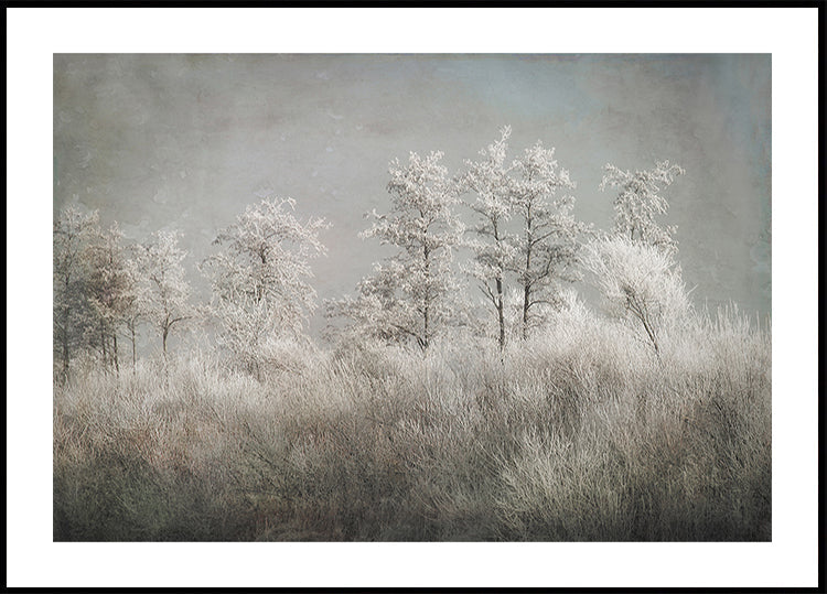 Cold morning Plakat - Posterbox
