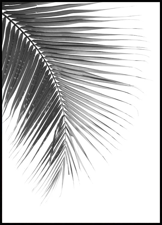 Tyylikäs Palm Leaf -juliste