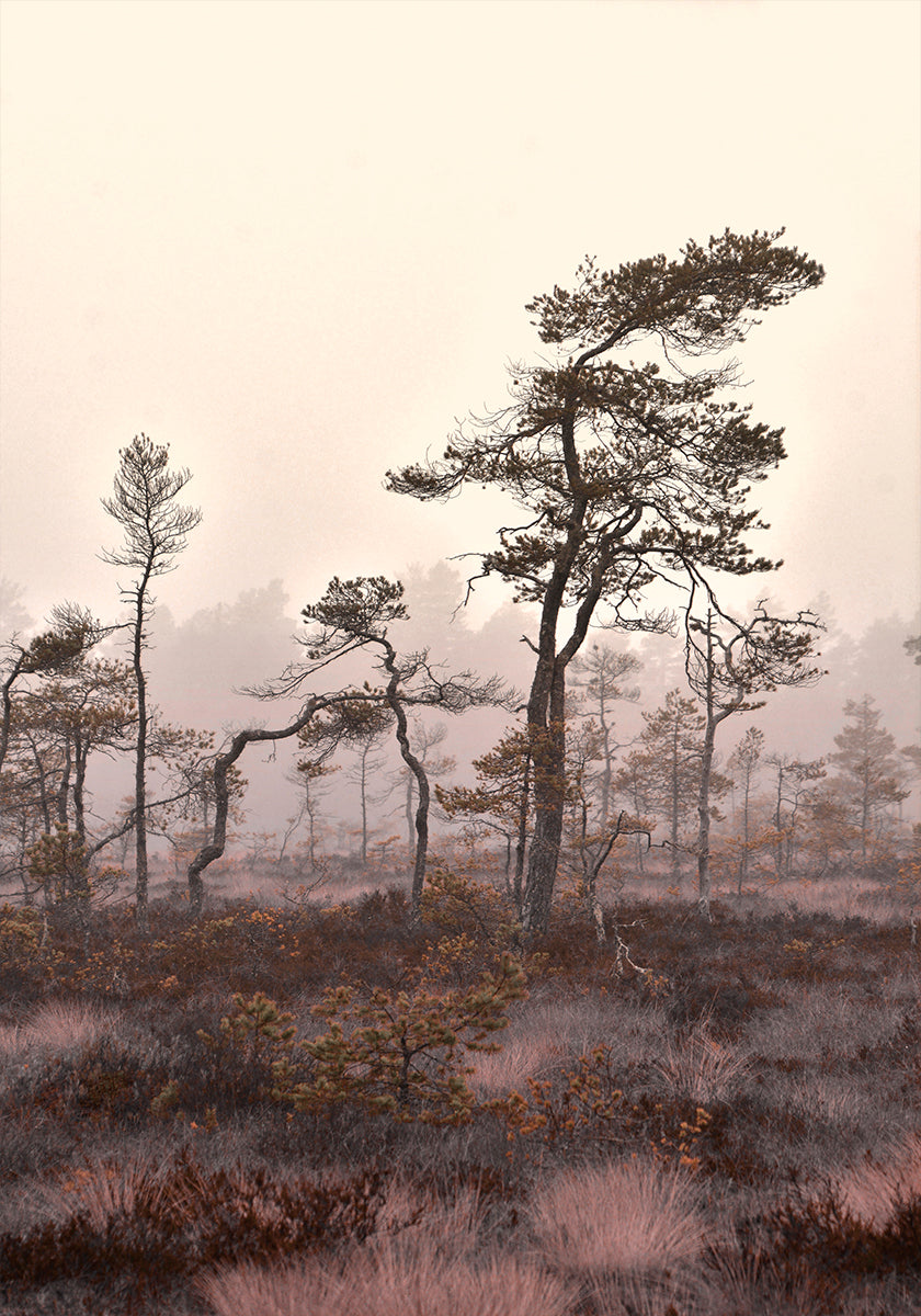 Veistoksiset puut Juliste