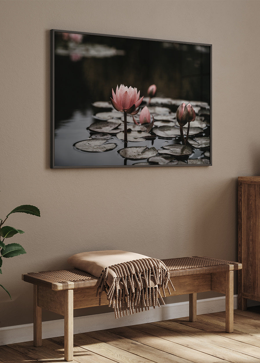 Pink Lotus Flowers -juliste 