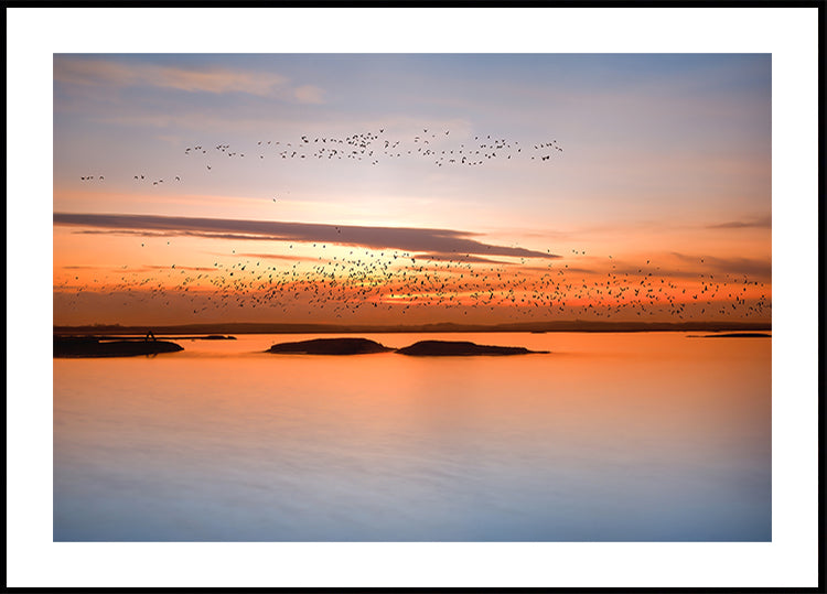 by sunset Plakat - Posterbox