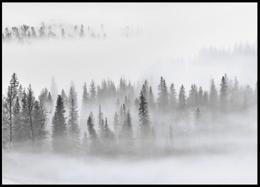 Sumuinen metsä