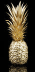 Golden Pineapple Plakat - Posterbox.dk
