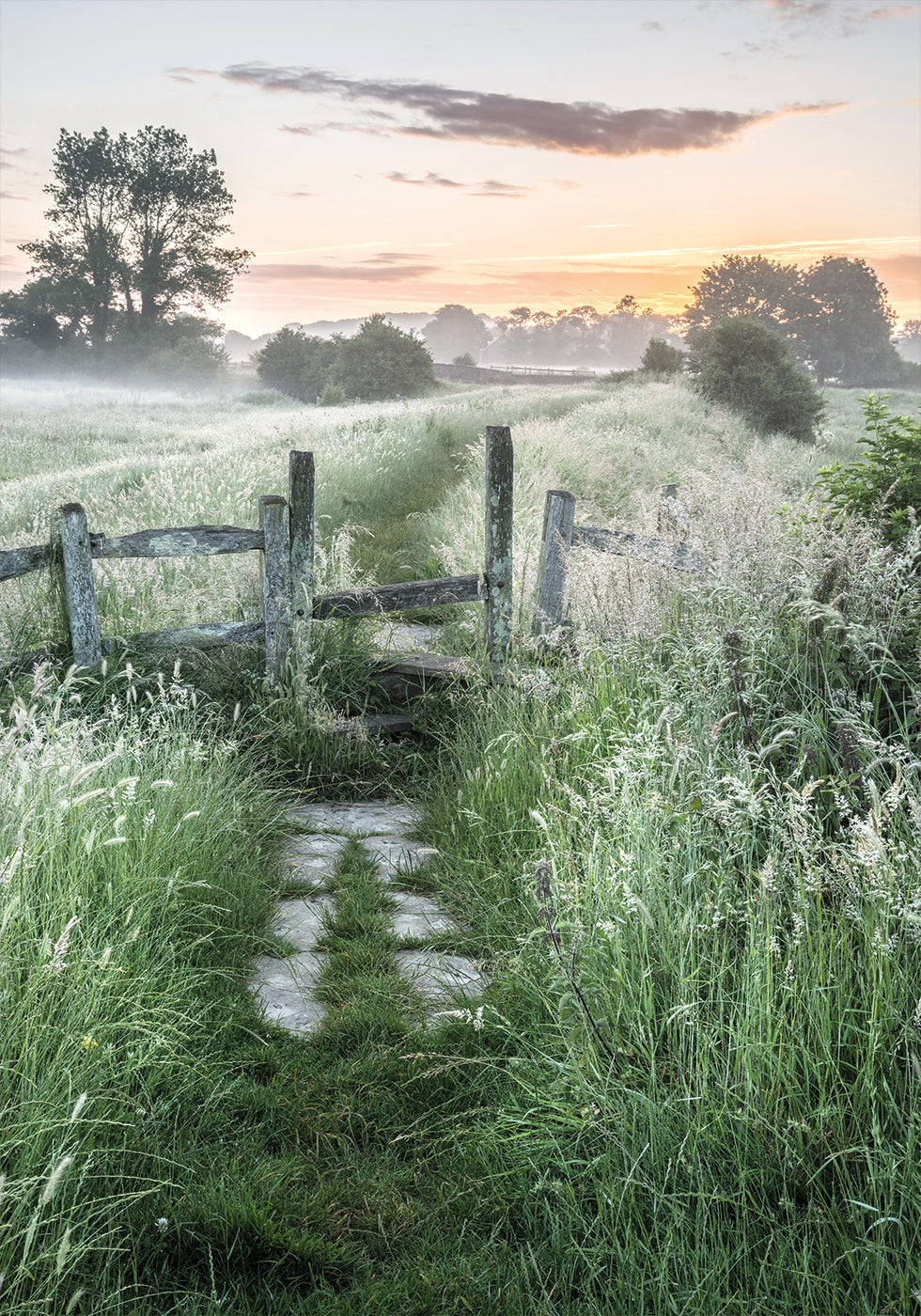 Misty Summer Dawn -juliste - Posterbox.dk