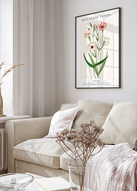 Viscaria kasvitieteellinen juliste - Posterbox.dk