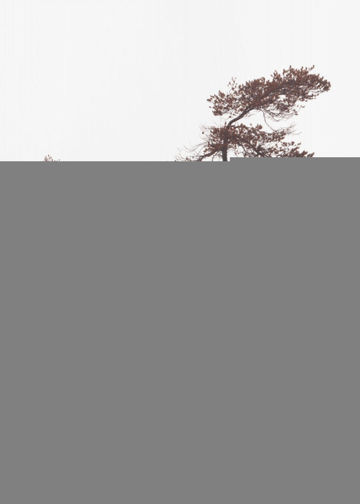 Veistoksellinen Pines -juliste