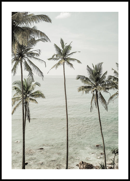 Tropical Dreams Plakat - Posterbox