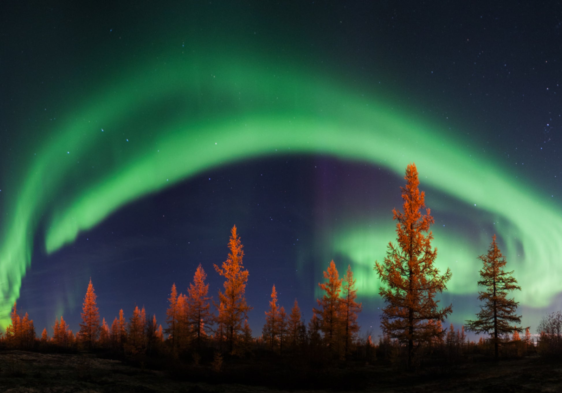 Vilkas Aurora Night Sky