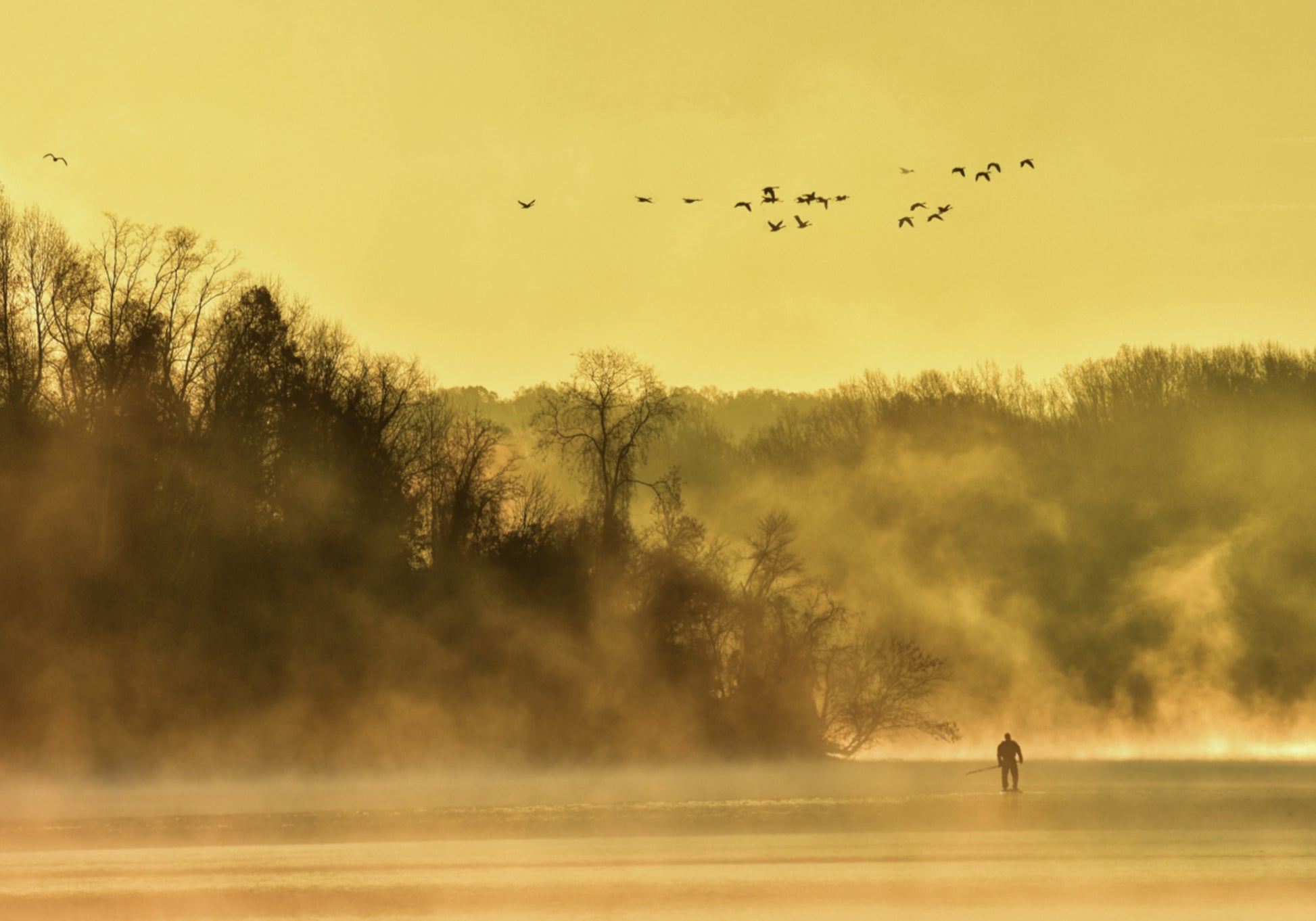 Golden Mist Yksinäinen figuuri