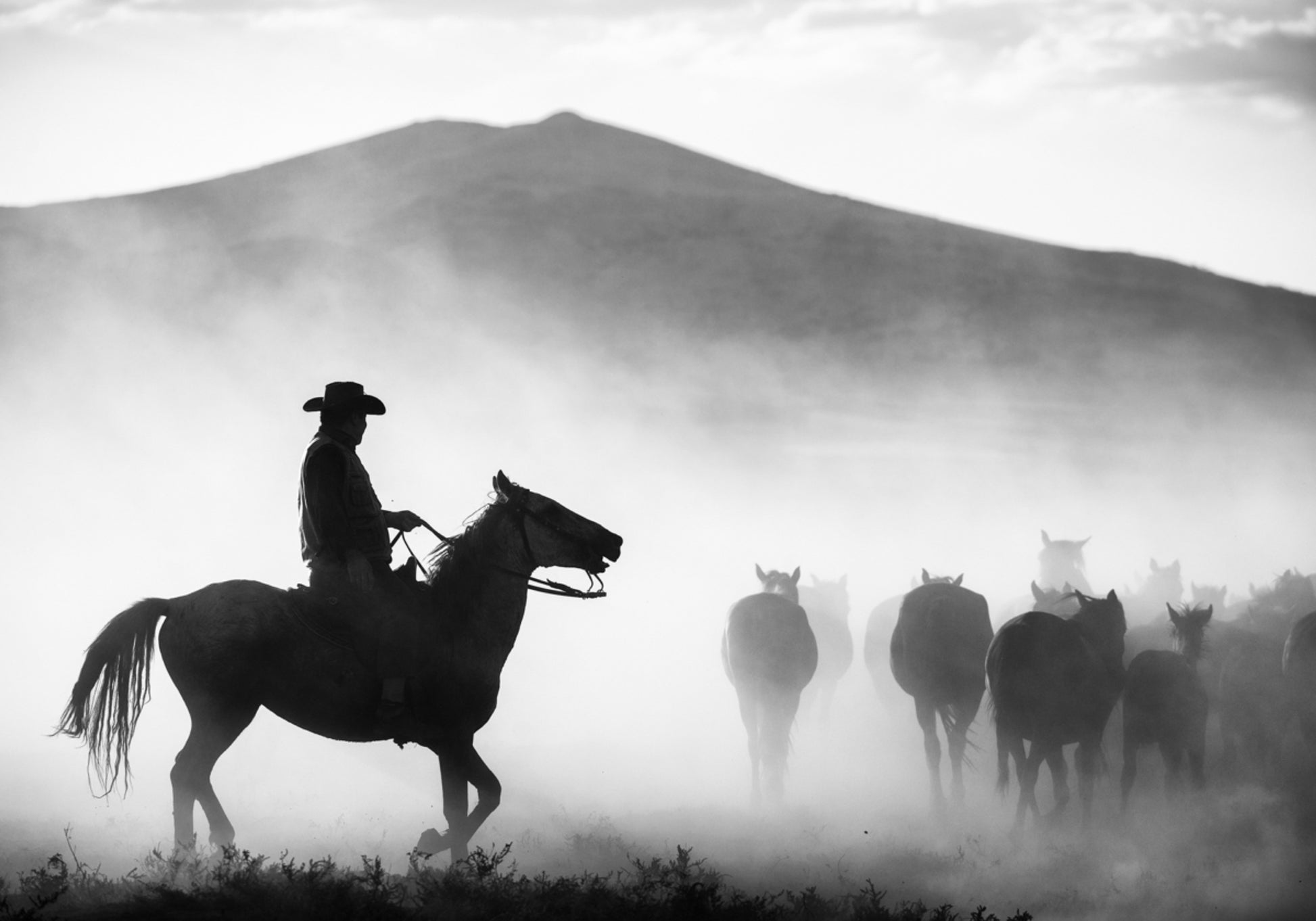 Cowboy-paimenhevosia