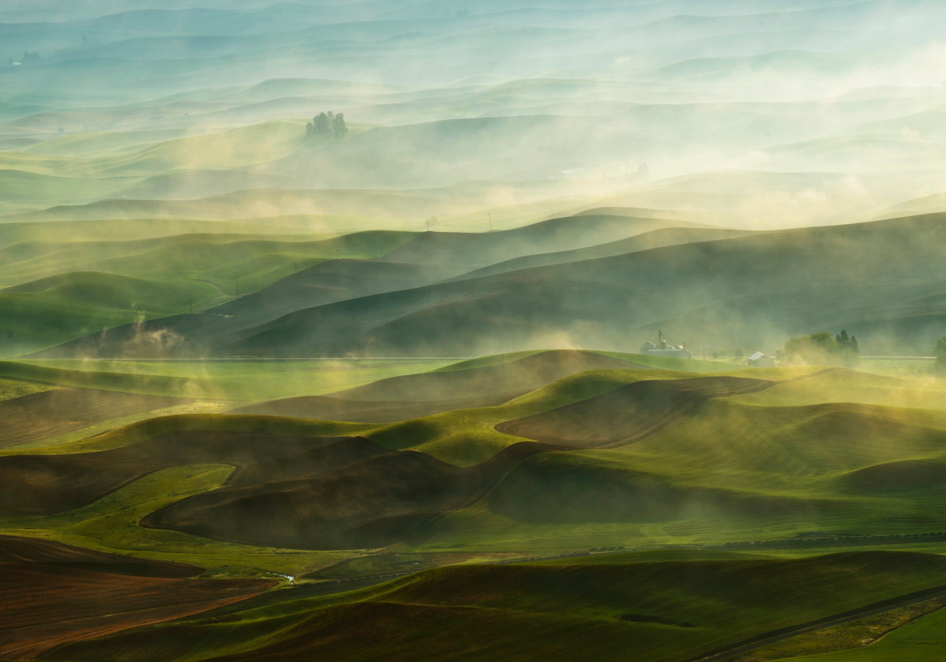 Golden Morning Hills