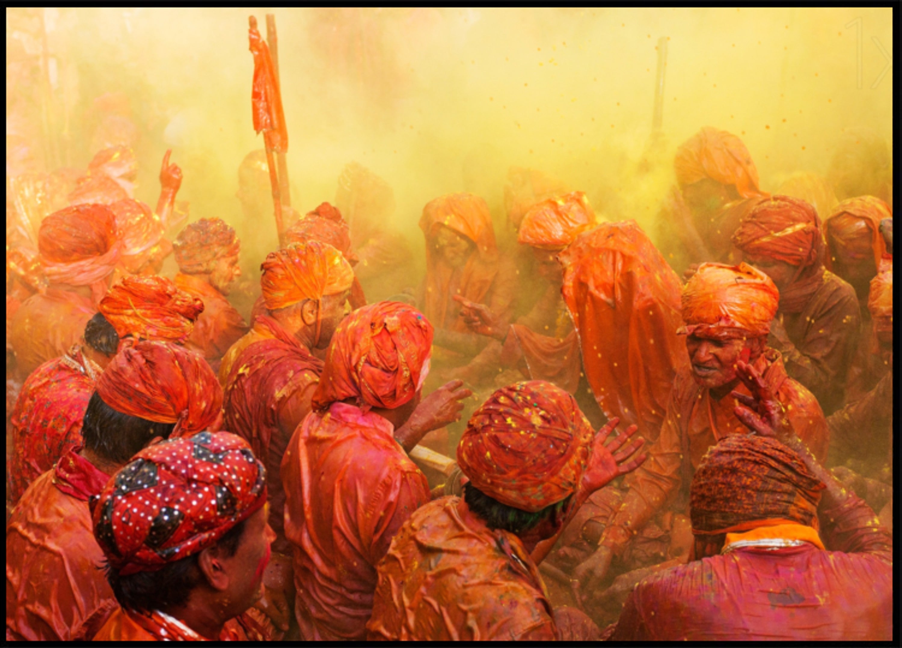 Vilkas Holi-juhla