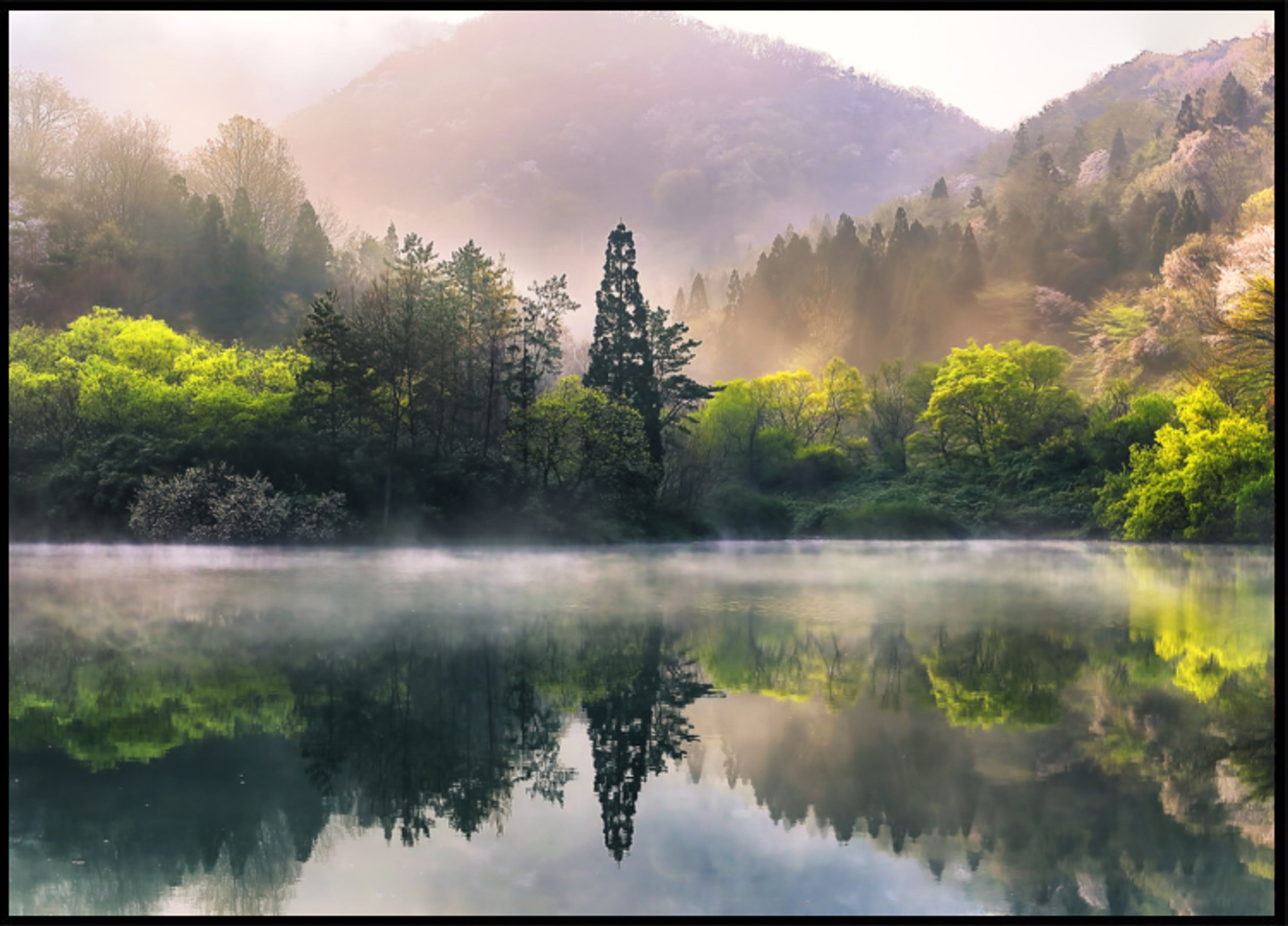 Misty Spring Lake Heijastus