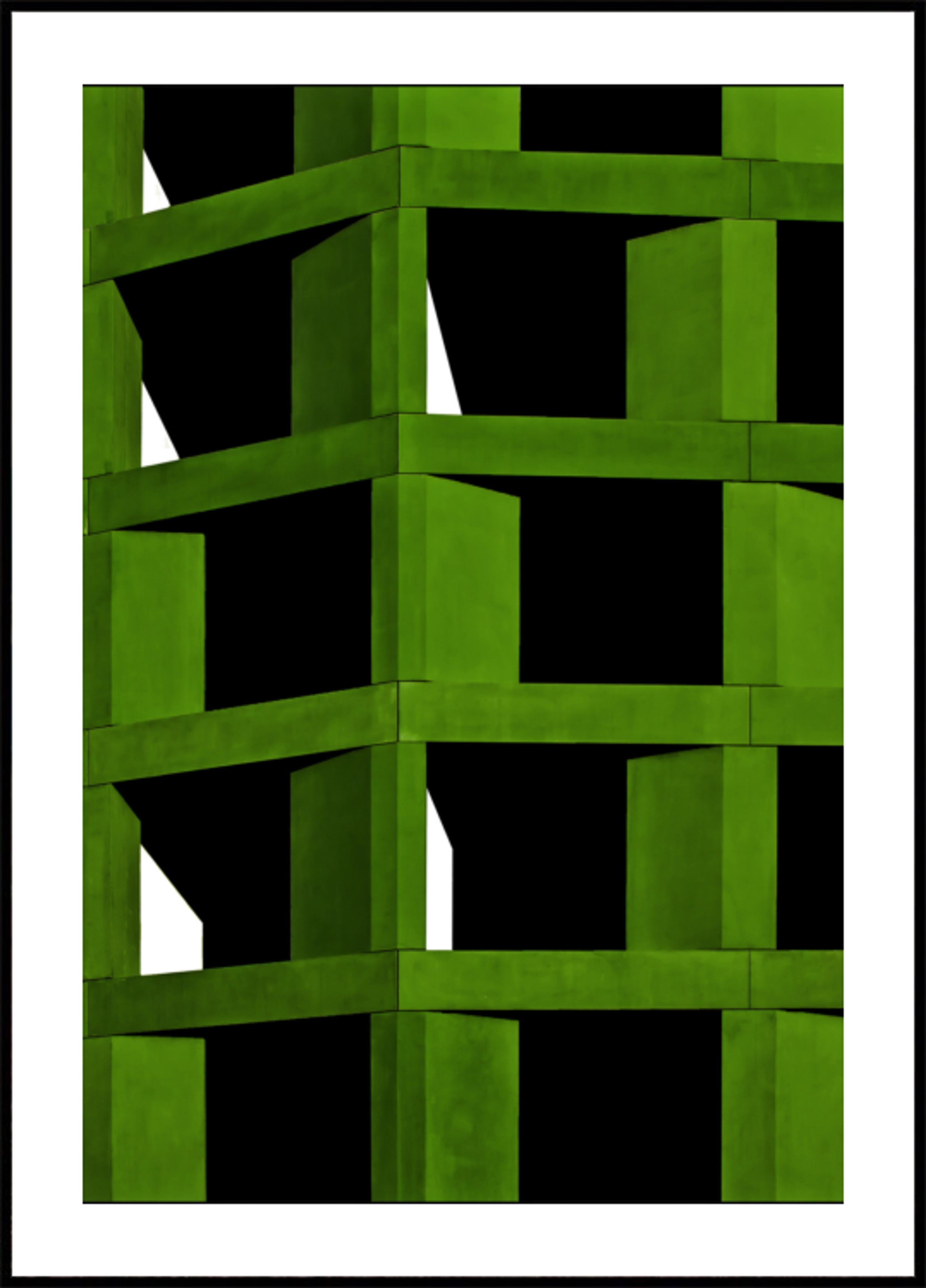 Vilkas vihreä geometria