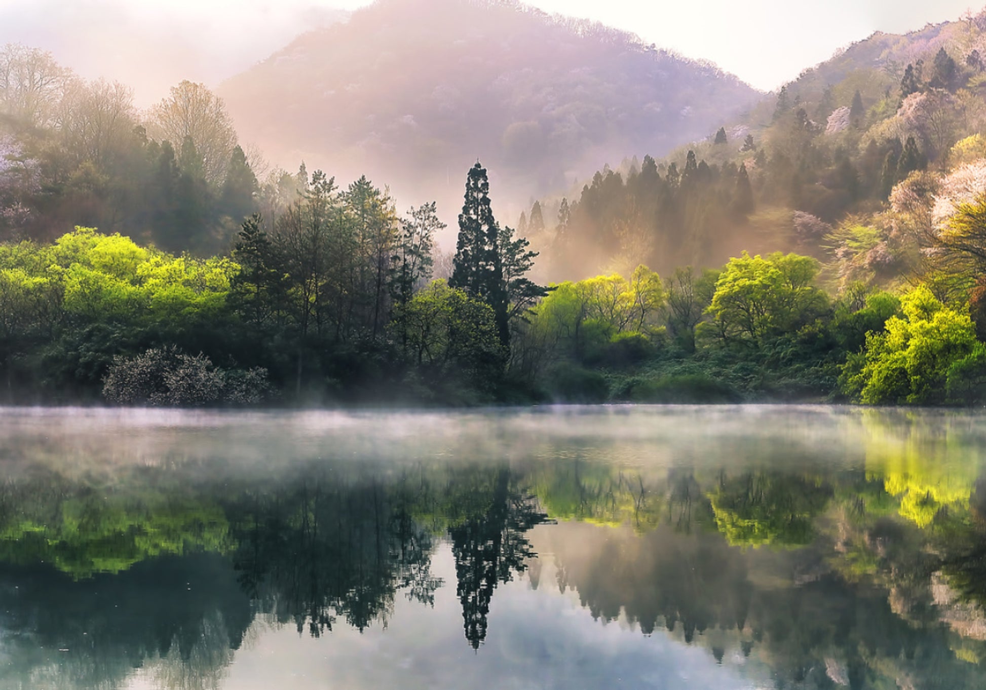 Misty Spring Lake Heijastus
