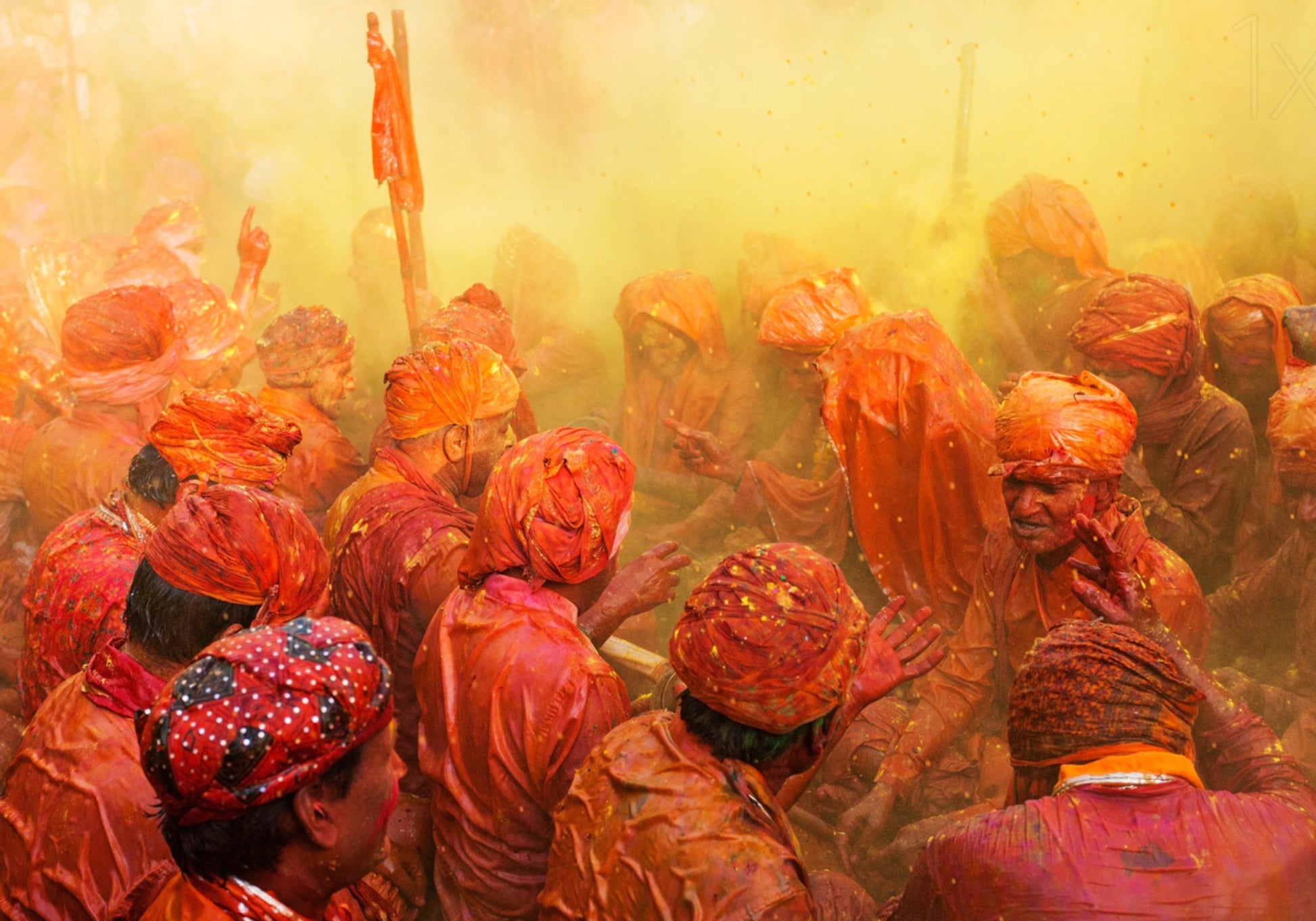 Vilkas Holi-juhla