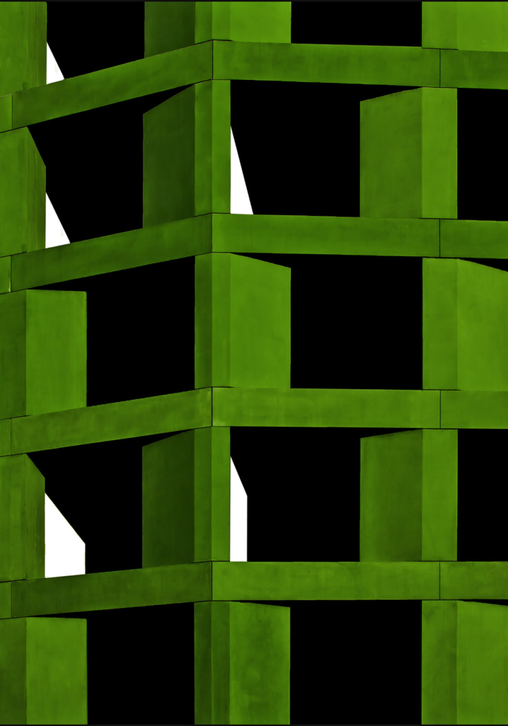 Vilkas vihreä geometria